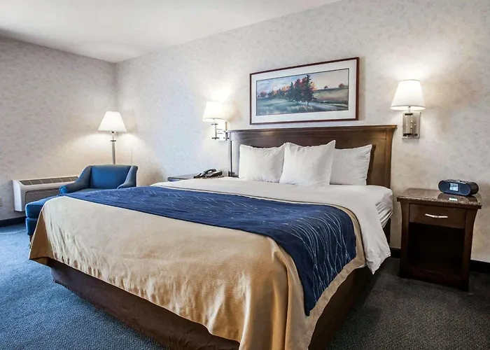 Comfort Inn Bellingham