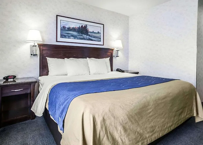 Comfort Inn Bellingham