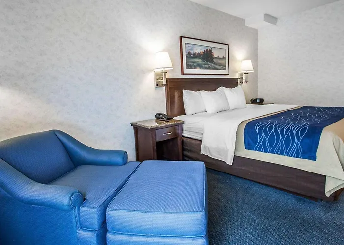 Comfort Inn Bellingham